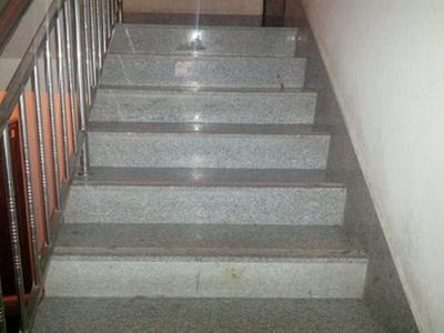 【招远皓岩】招远珍珠花价格 招远珍珠花批发 招远珍珠花厂家图片|【招远皓岩】招远珍珠花价格 招远珍珠花批发 招远珍珠花厂家产品图片由招远市皓岩石材公司生产提供-